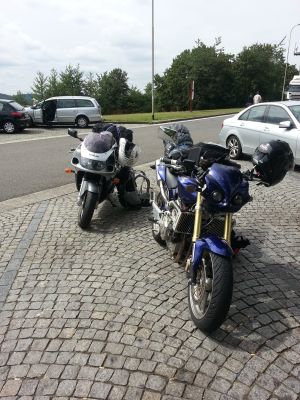 Hornet_Hotte002.jpg